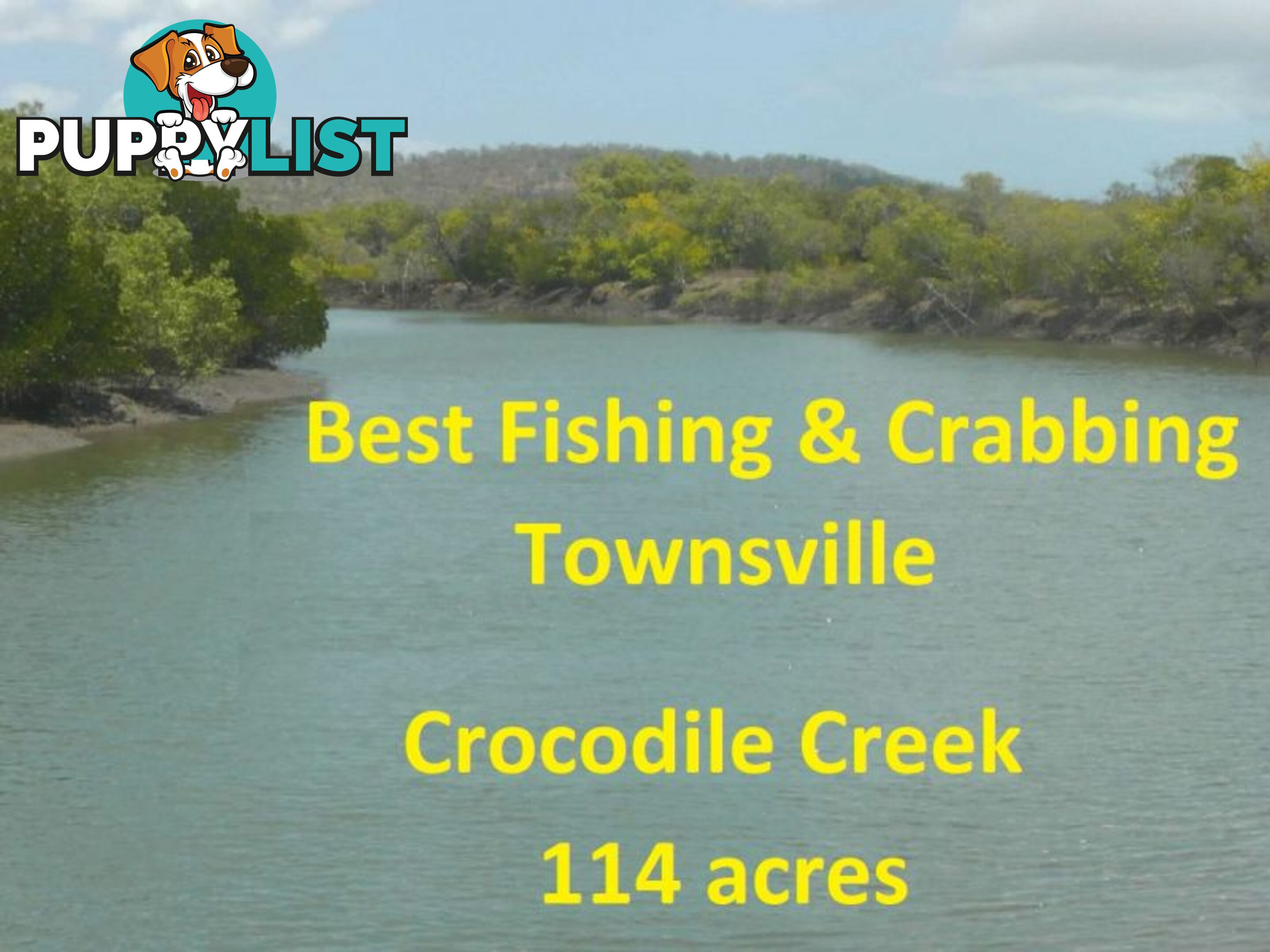 239 Crocodile Creek Road Cape Cleveland QLD 4810