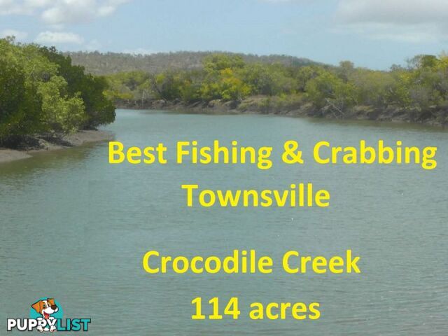 239 Crocodile Creek Road Cape Cleveland QLD 4810