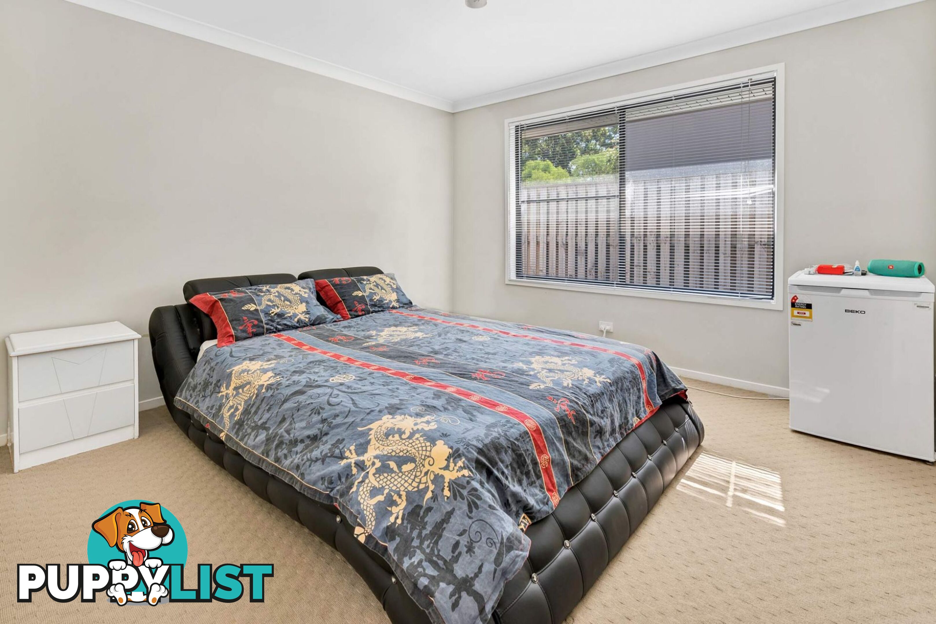 17 Wildflower Circuit Upper Coomera QLD 4209