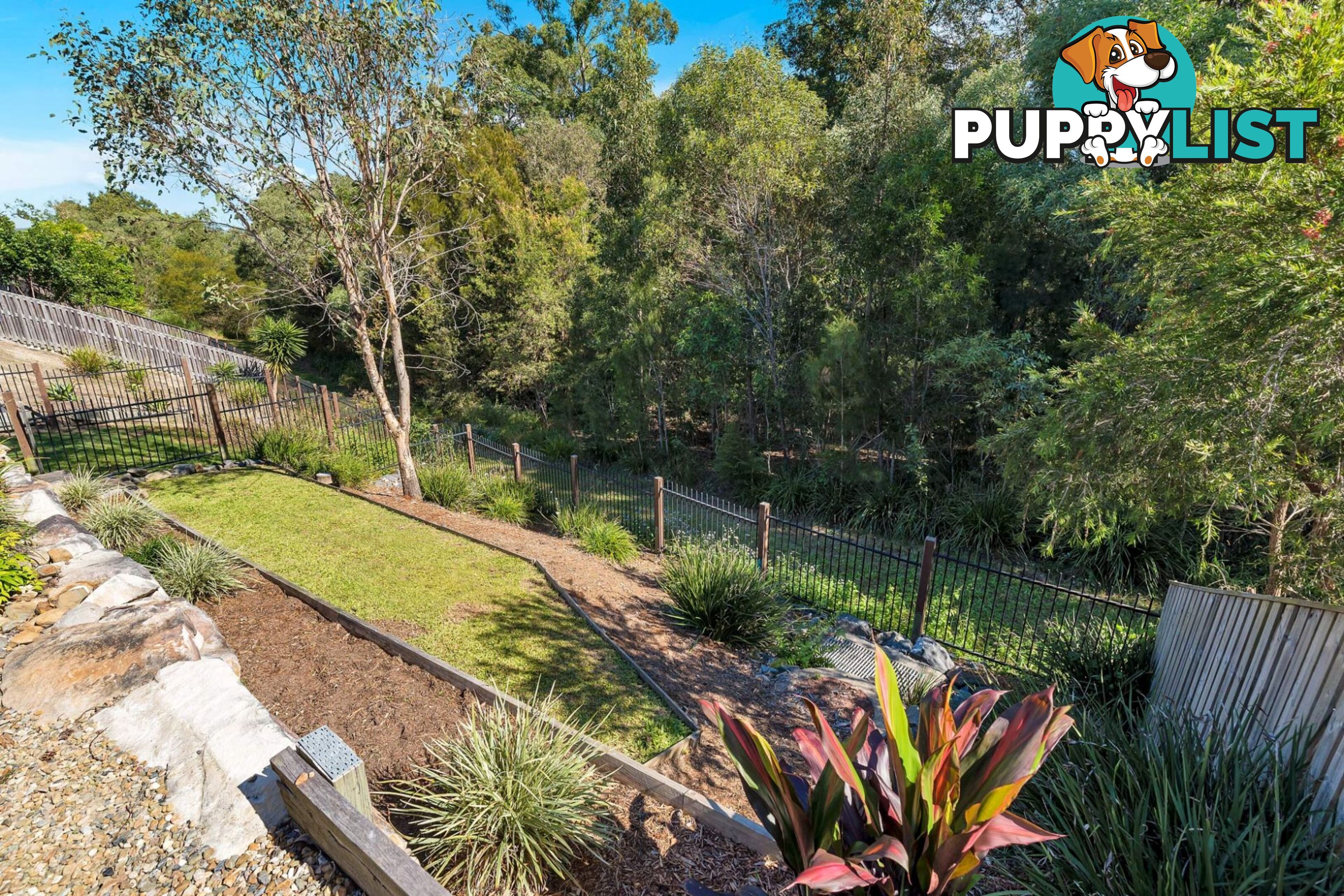 17 Wildflower Circuit Upper Coomera QLD 4209