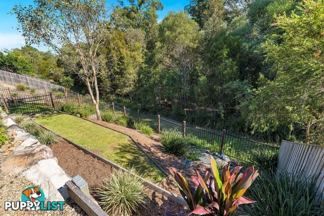 17 Wildflower Circuit Upper Coomera QLD 4209