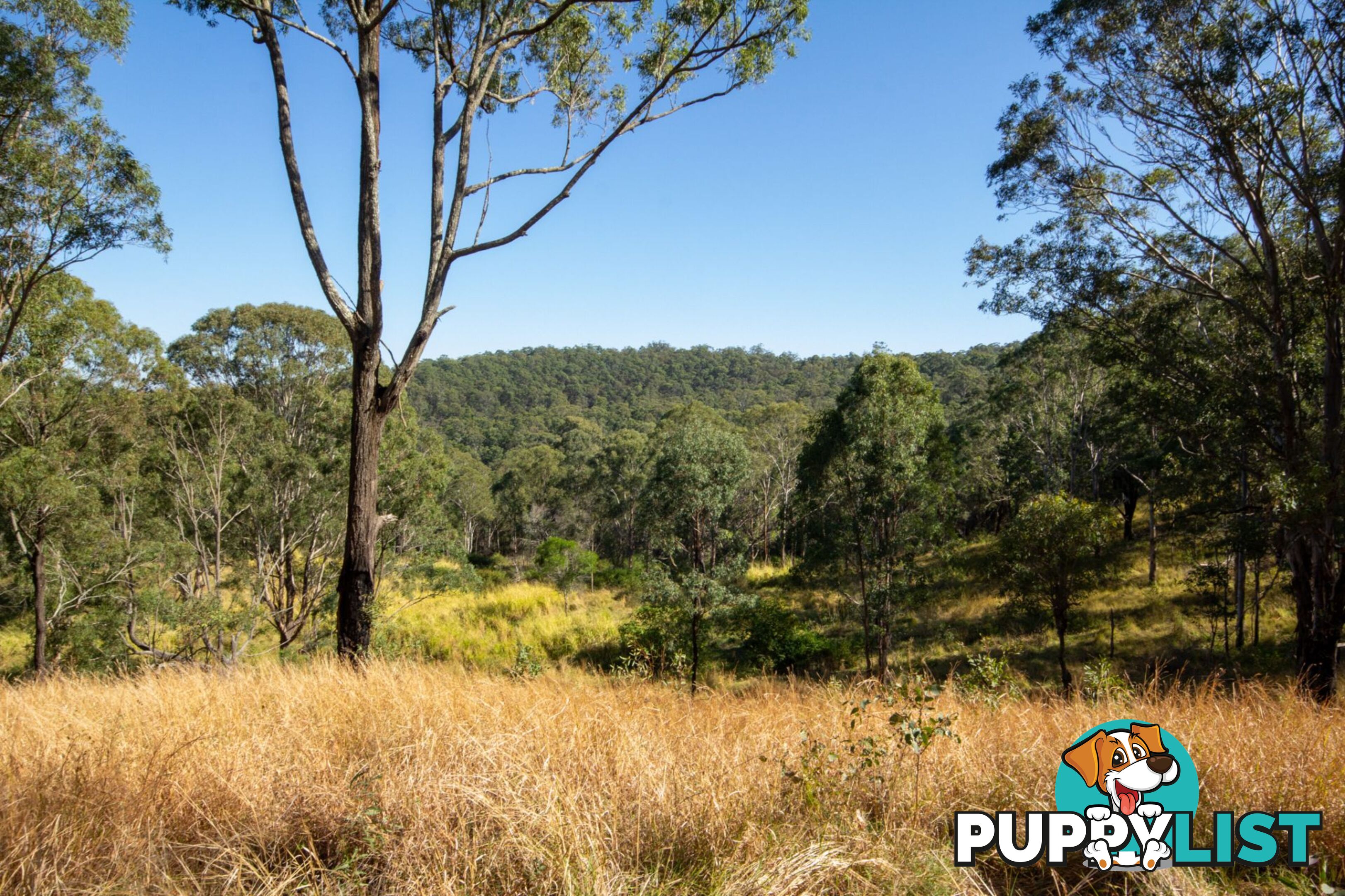 Peak Crossing QLD 4306