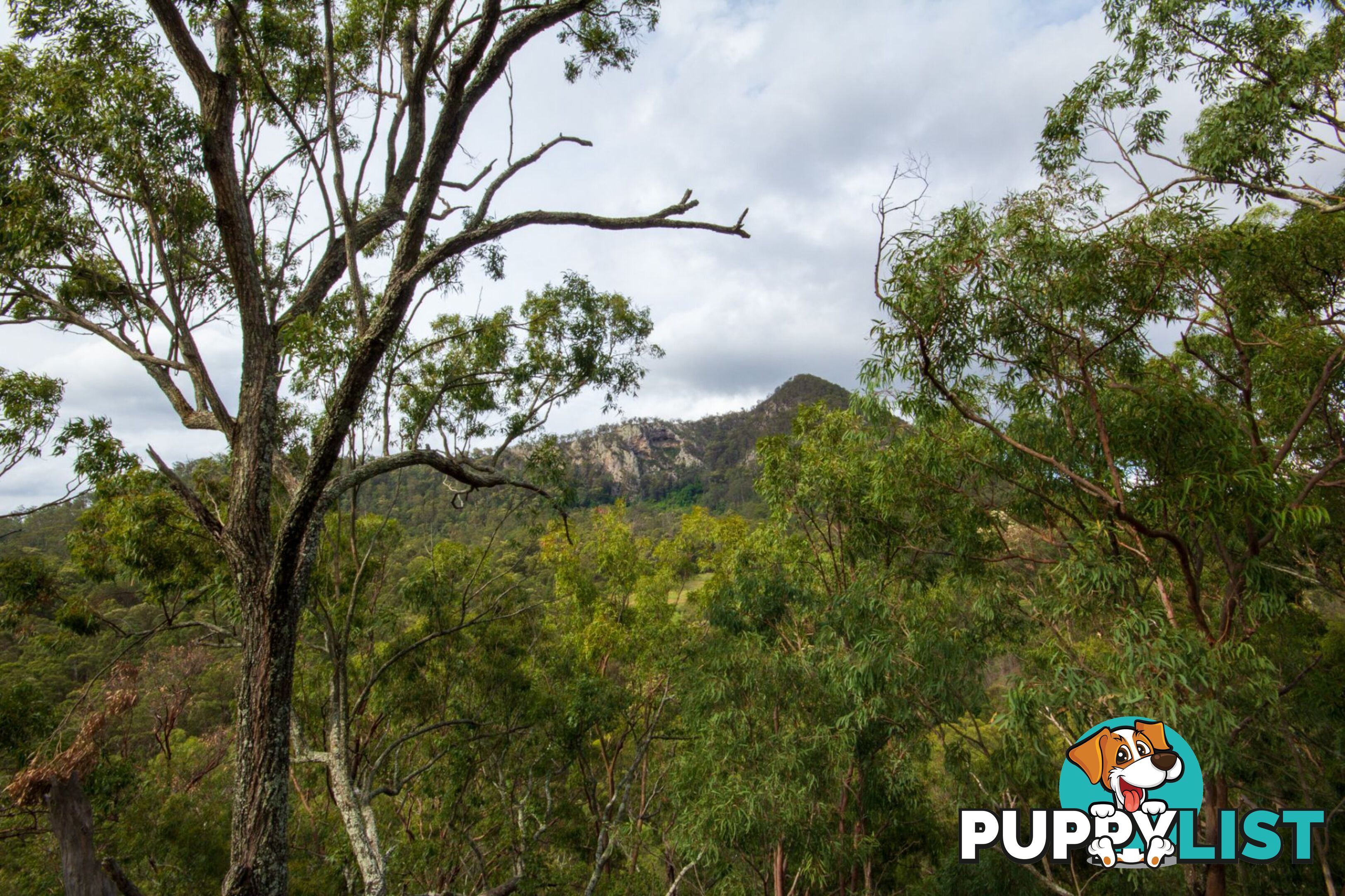 Peak Crossing QLD 4306