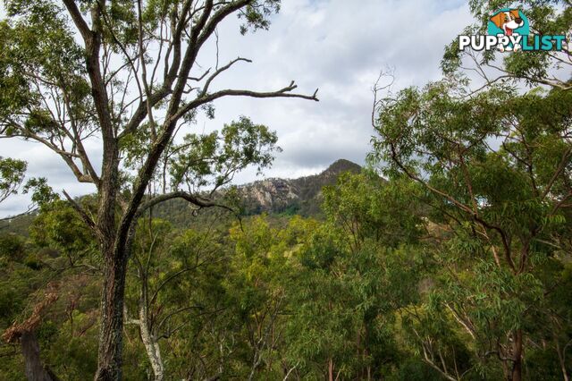 Peak Crossing QLD 4306