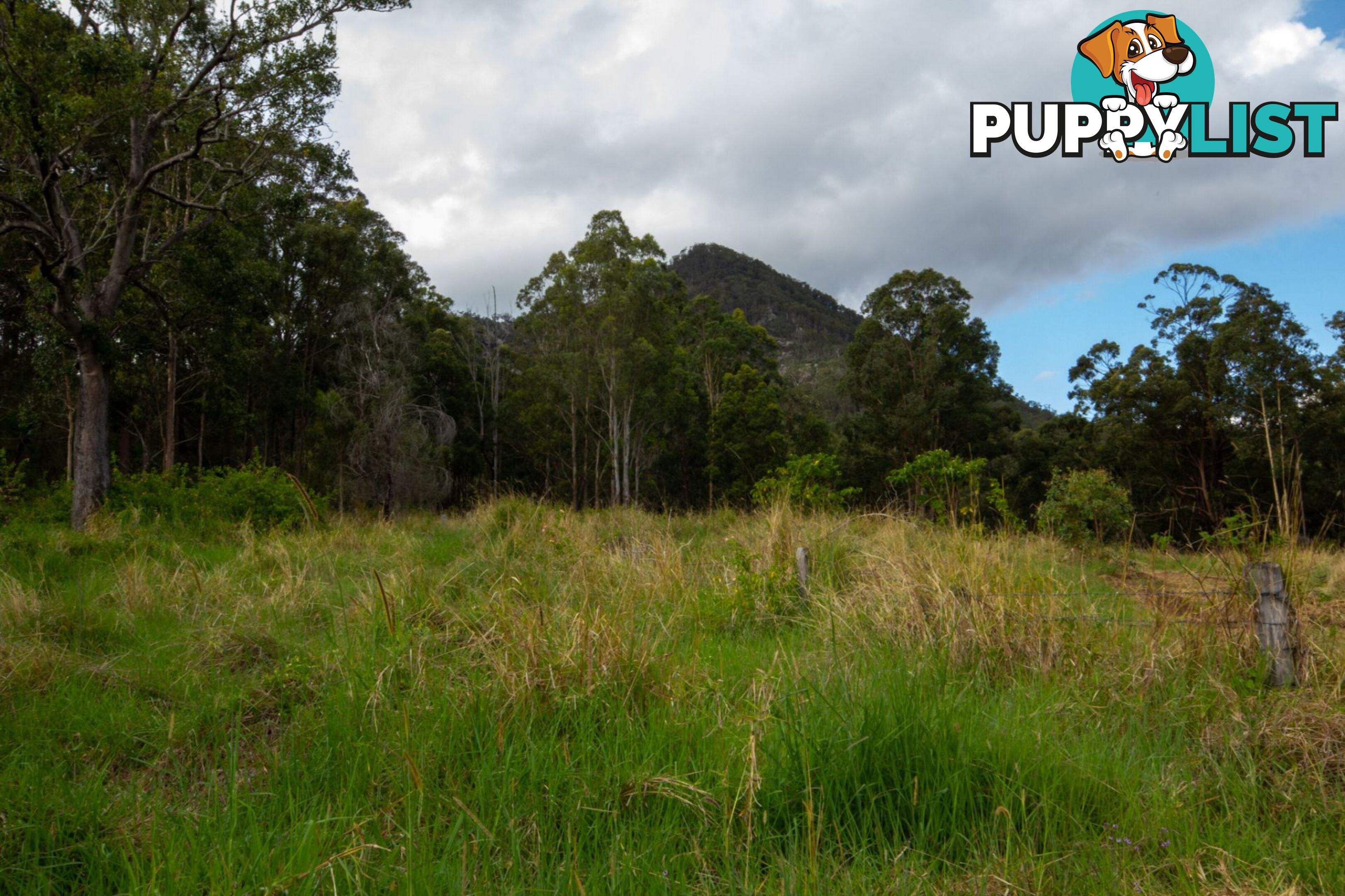 Peak Crossing QLD 4306