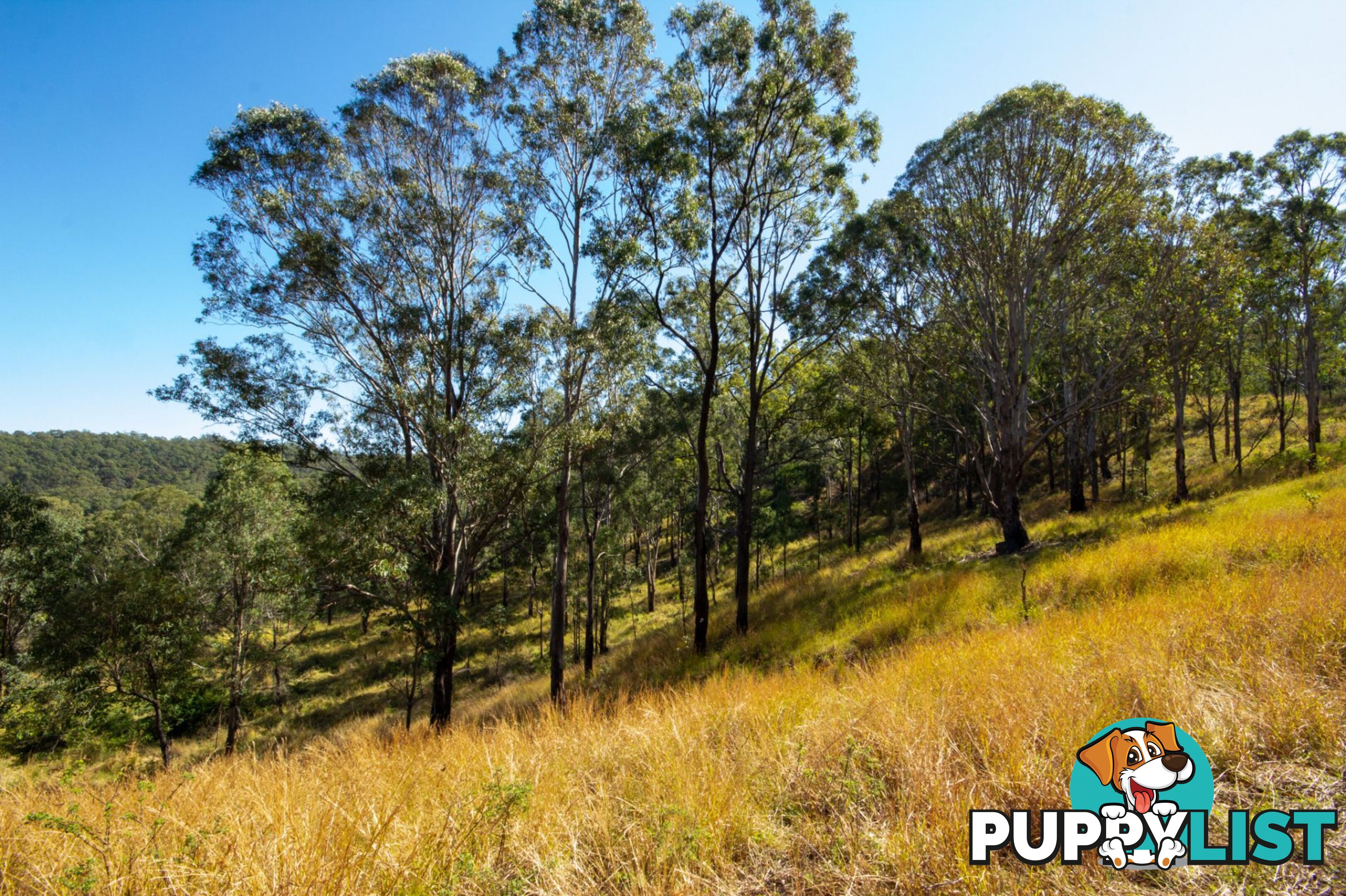 Peak Crossing QLD 4306