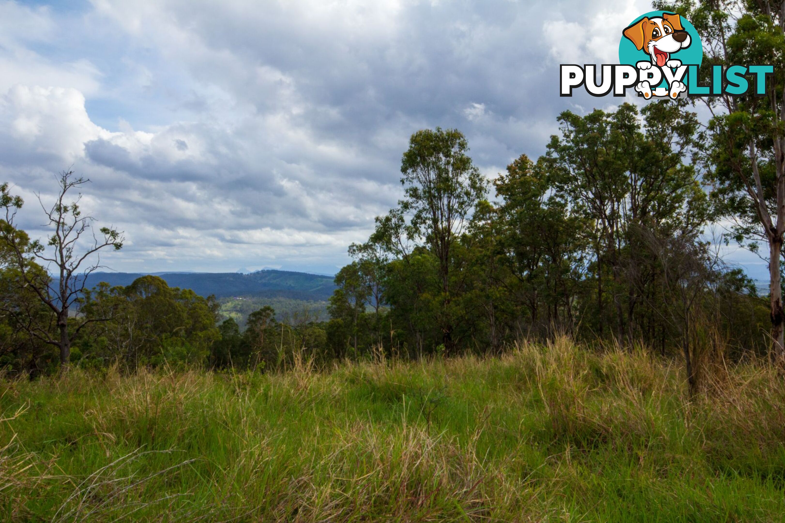 Peak Crossing QLD 4306