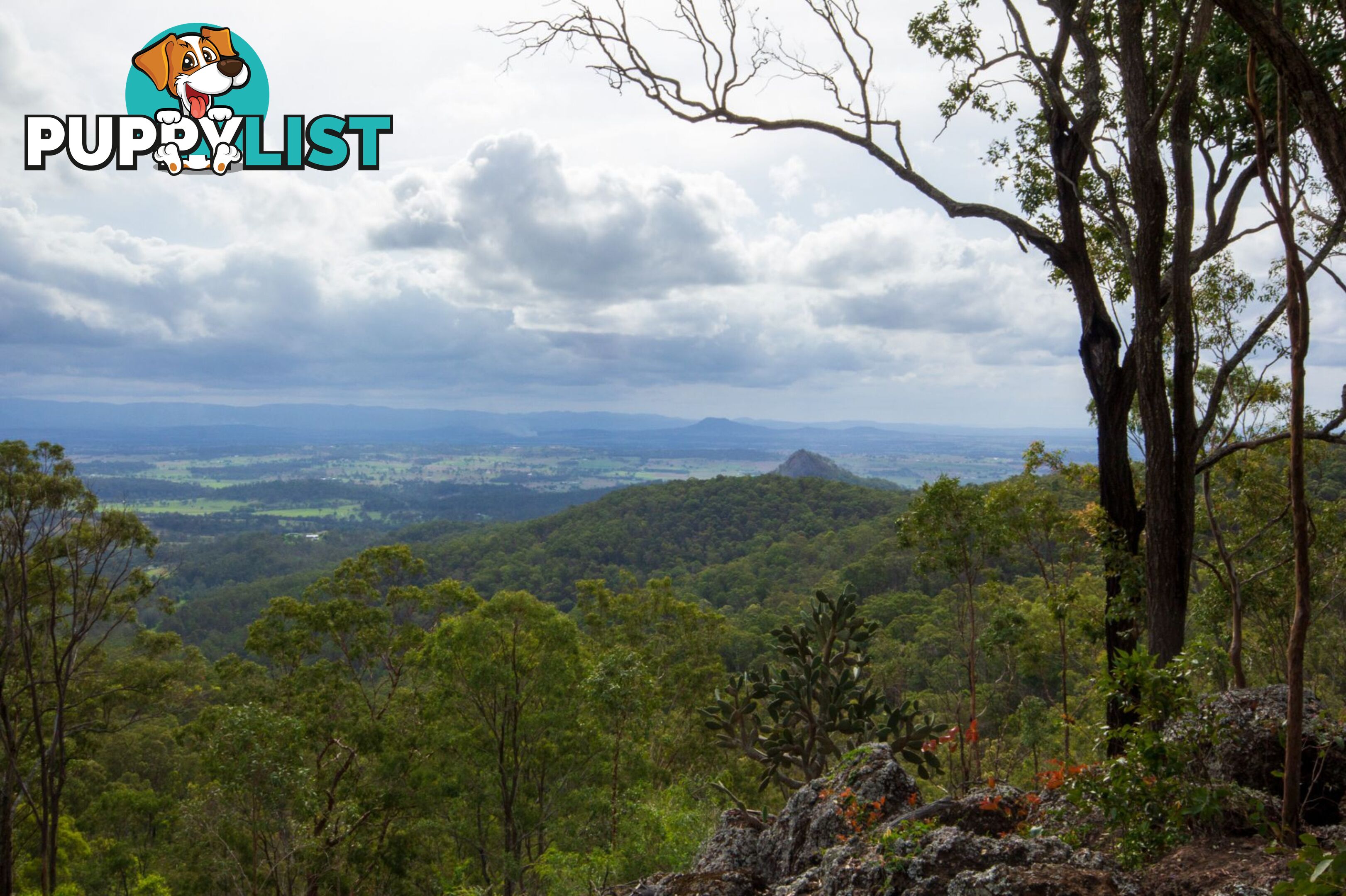 Peak Crossing QLD 4306