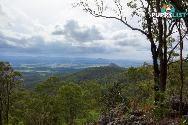 Peak Crossing QLD 4306