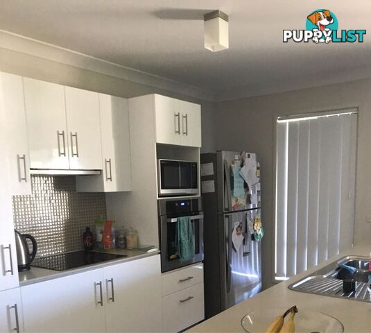 13 Petal Place Yamanto QLD 4305