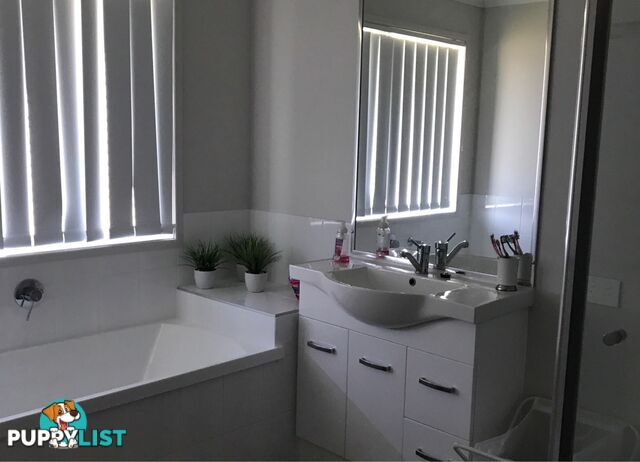 13 Petal Place Yamanto QLD 4305