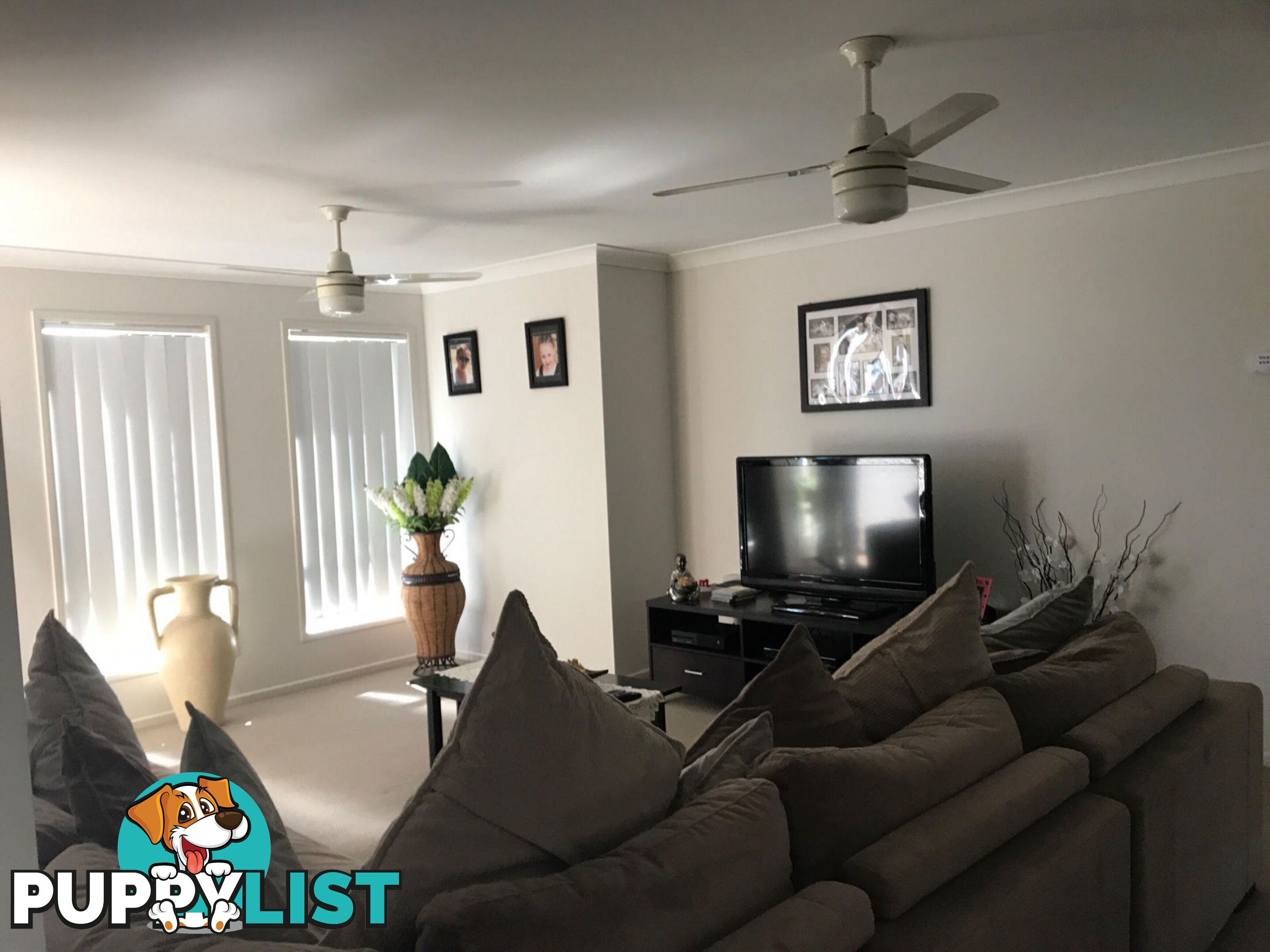 13 Petal Place Yamanto QLD 4305