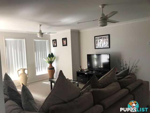 13 Petal Place Yamanto QLD 4305