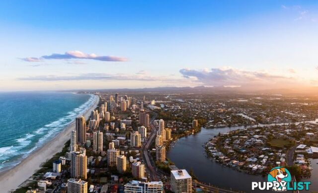 Broadbeach QLD 4218