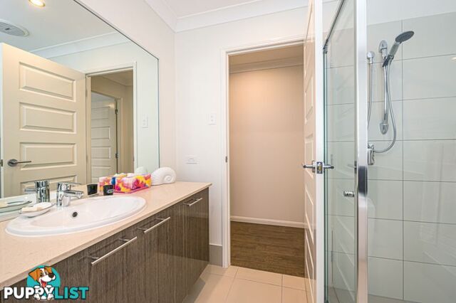 25 Foxtail Crescent Banksia Beach QLD 4507