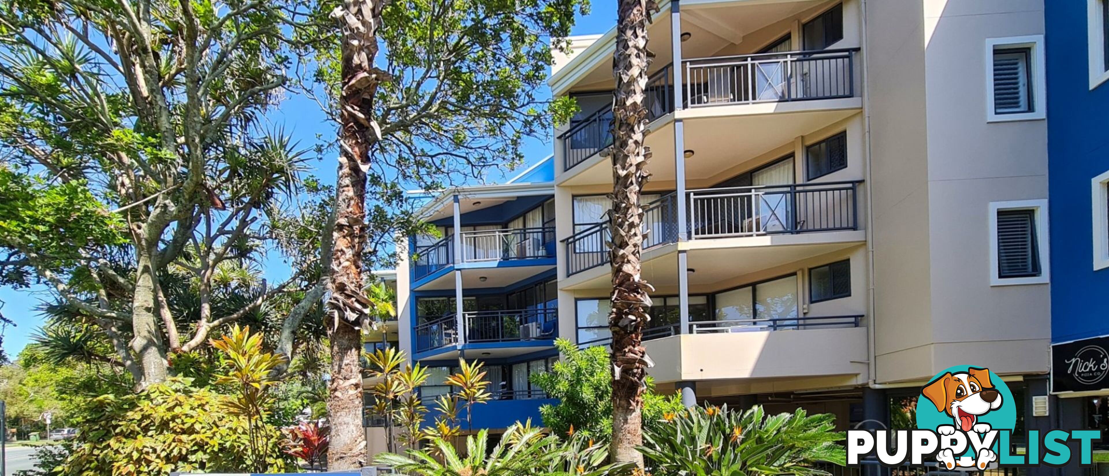 53 6 Beerburrum Street Dicky Beach QLD 4551