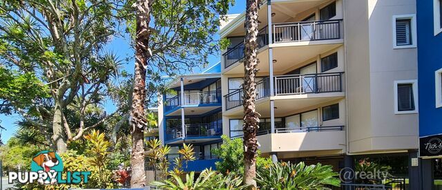 53 6 Beerburrum Street Dicky Beach QLD 4551