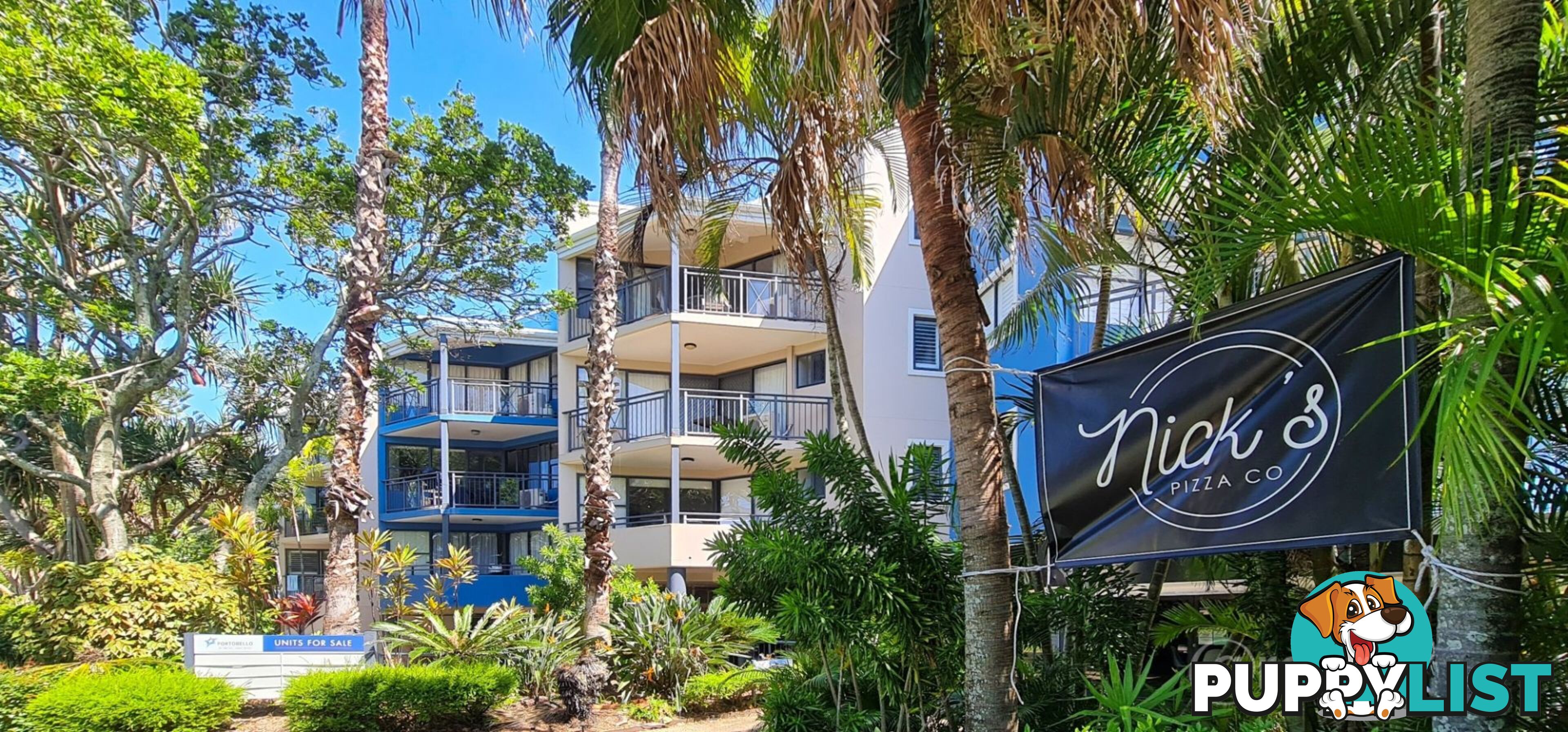 53 6 Beerburrum Street Dicky Beach QLD 4551