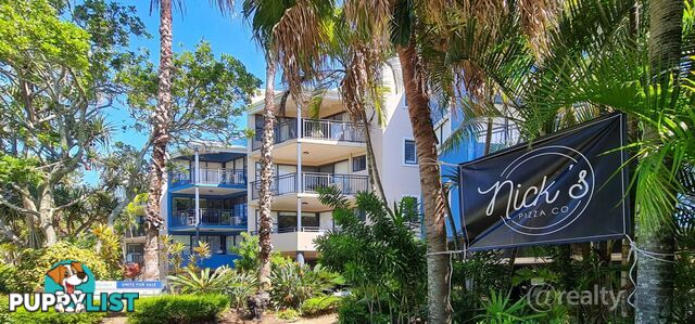 53 6 Beerburrum Street Dicky Beach QLD 4551