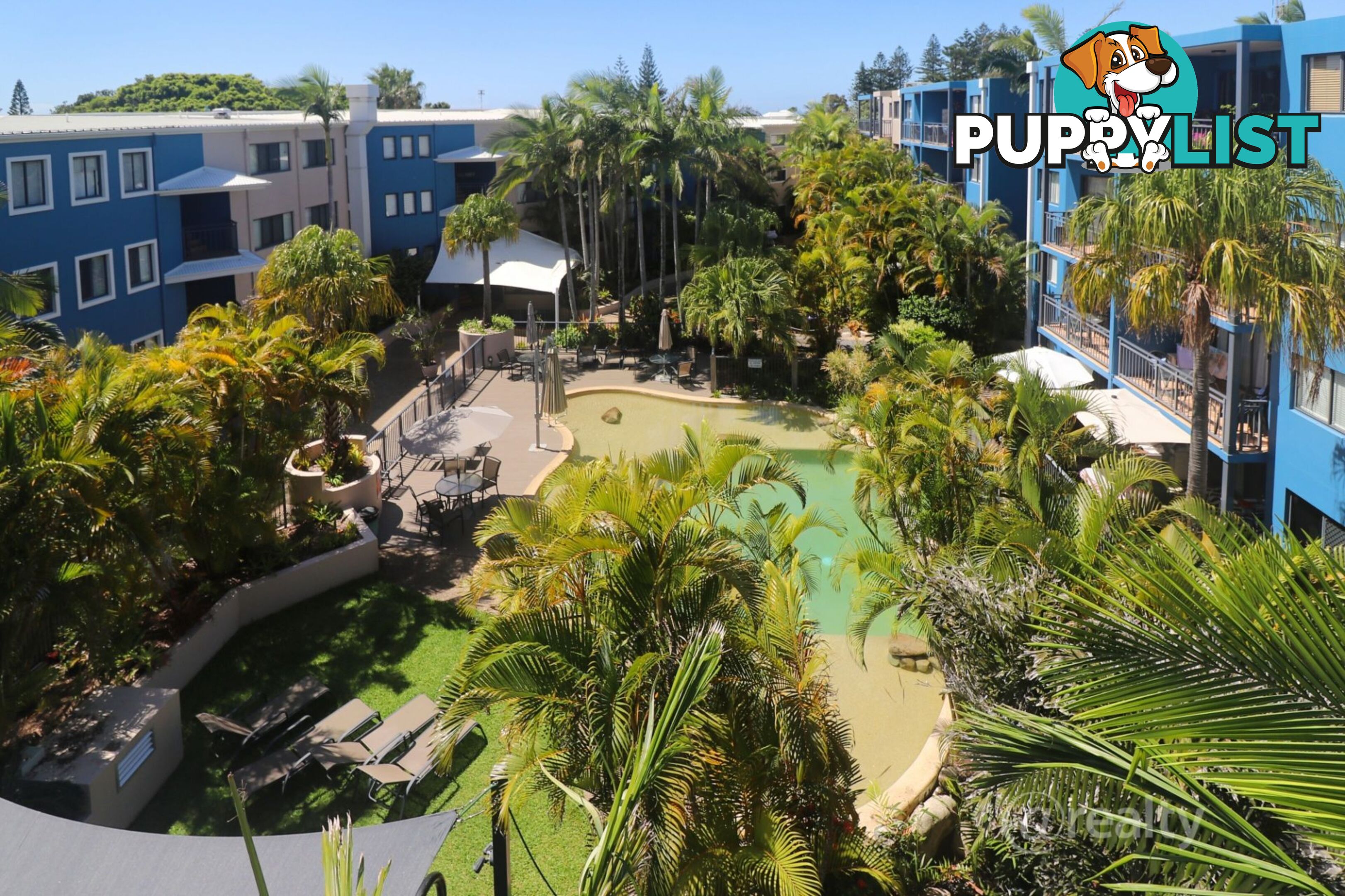 53 6 Beerburrum Street Dicky Beach QLD 4551