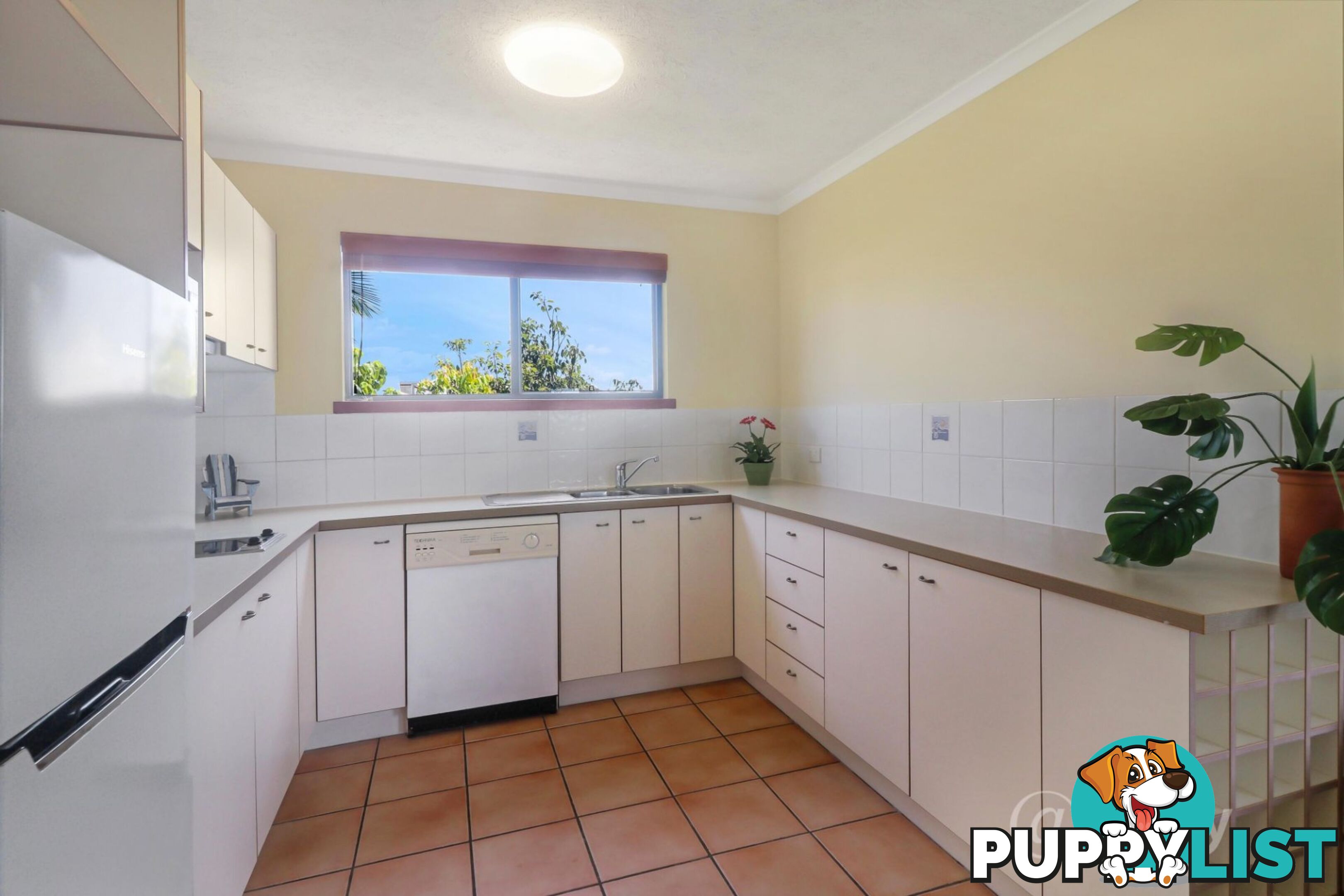 53 6 Beerburrum Street Dicky Beach QLD 4551