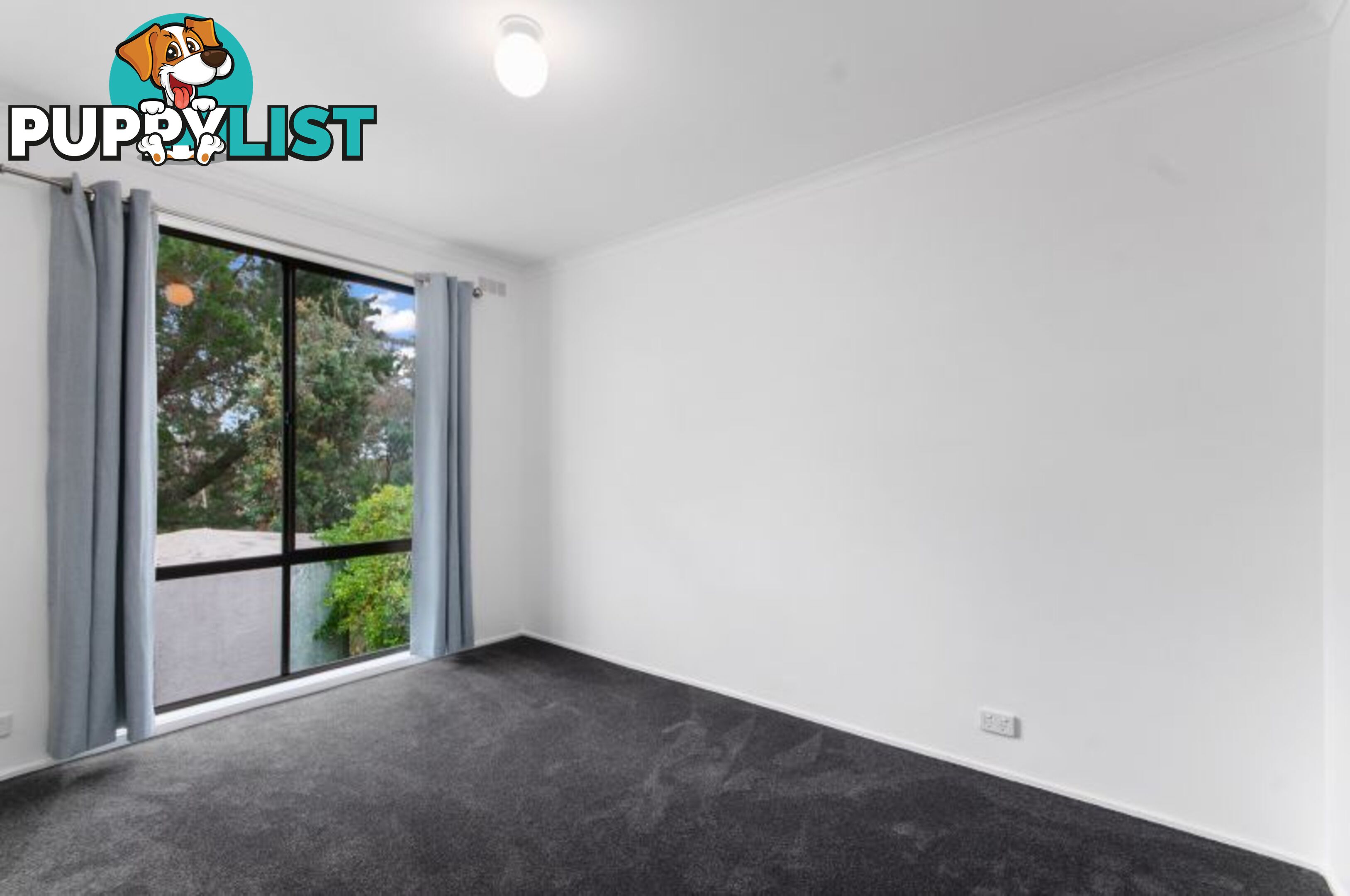 101 Wallaby Street Loch Sport VIC 3851