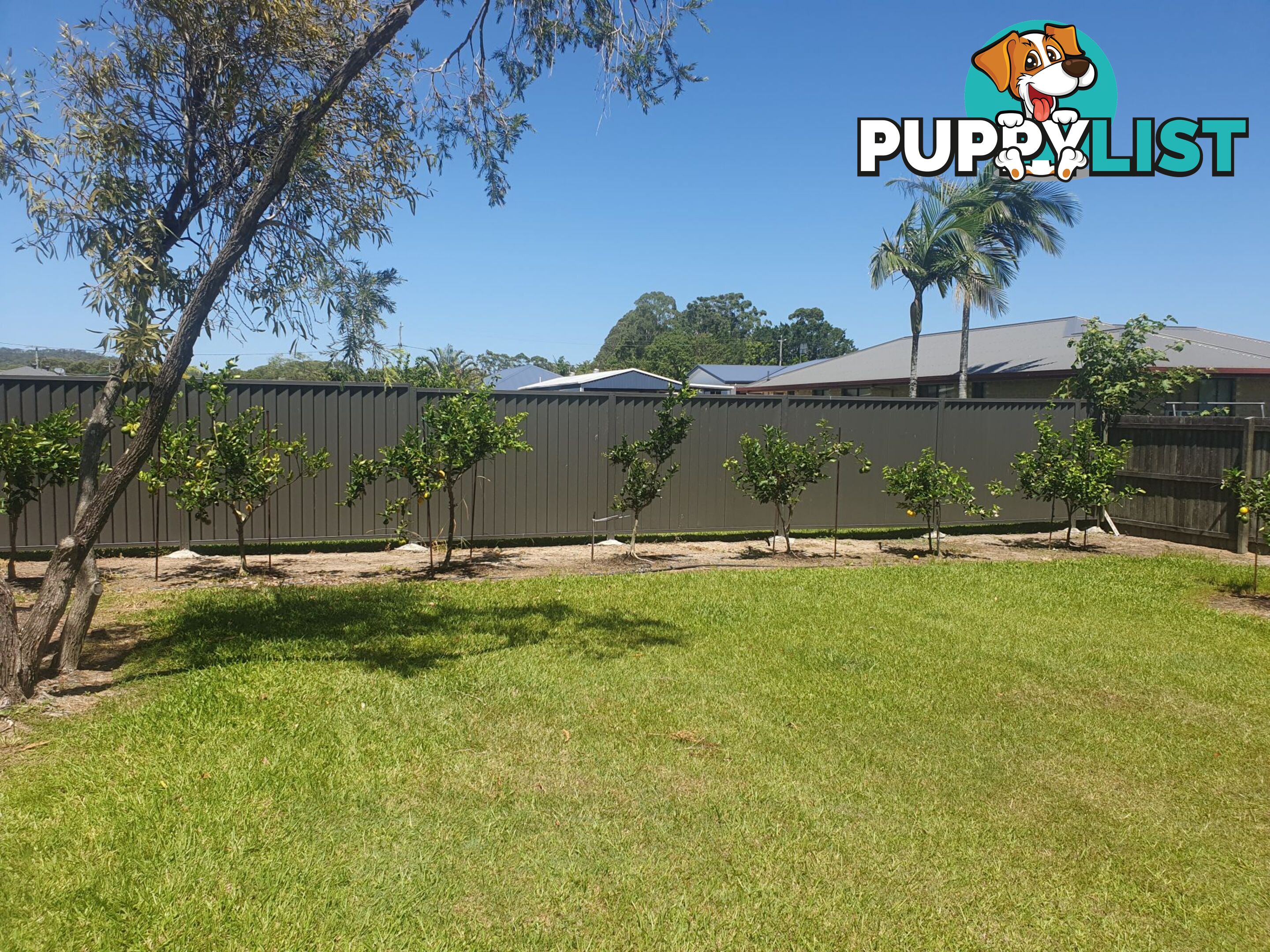 21 Canberra Avenue Cooloola Cove QLD 4580