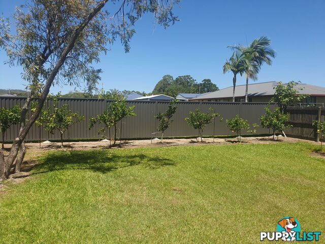 21 Canberra Avenue Cooloola Cove QLD 4580