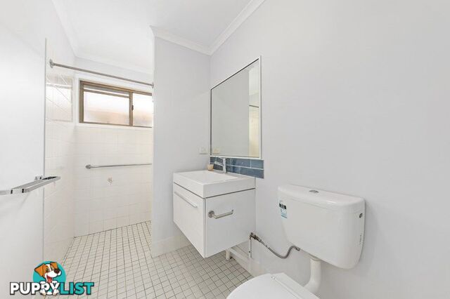 160 139 Moorindil Street Tewantin QLD 4565