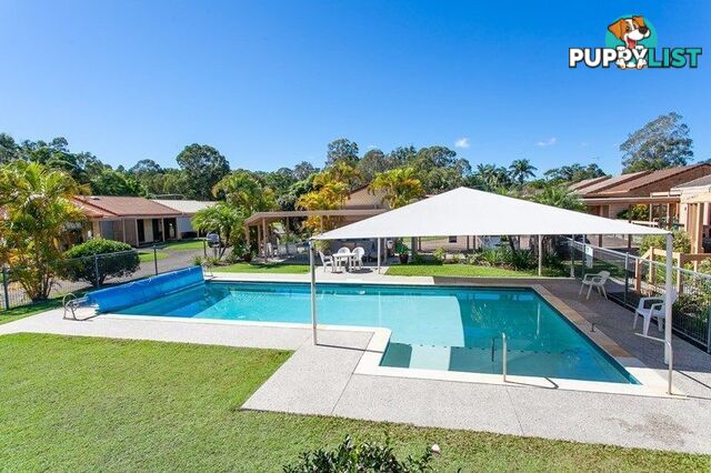 160 139 Moorindil Street Tewantin QLD 4565