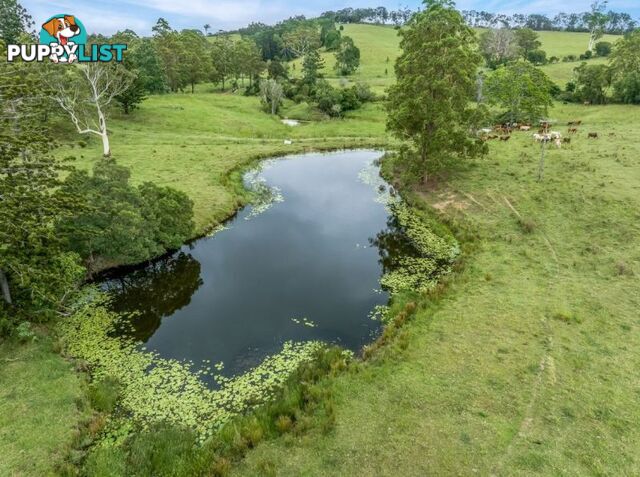 676 Sandy Creek Road Veteran QLD 4570