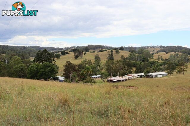 676 Sandy Creek Road Veteran QLD 4570