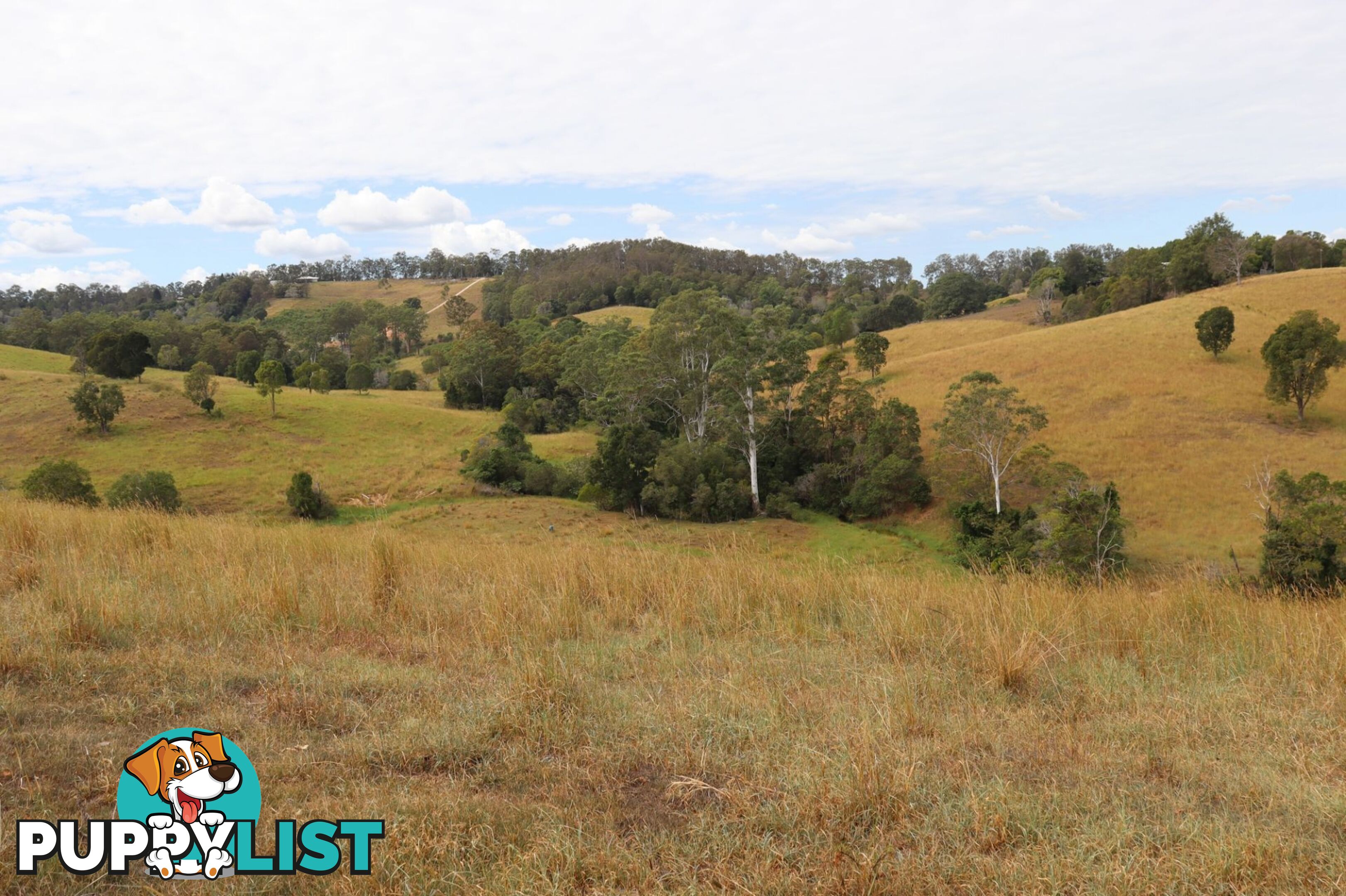 676 Sandy Creek Road Veteran QLD 4570