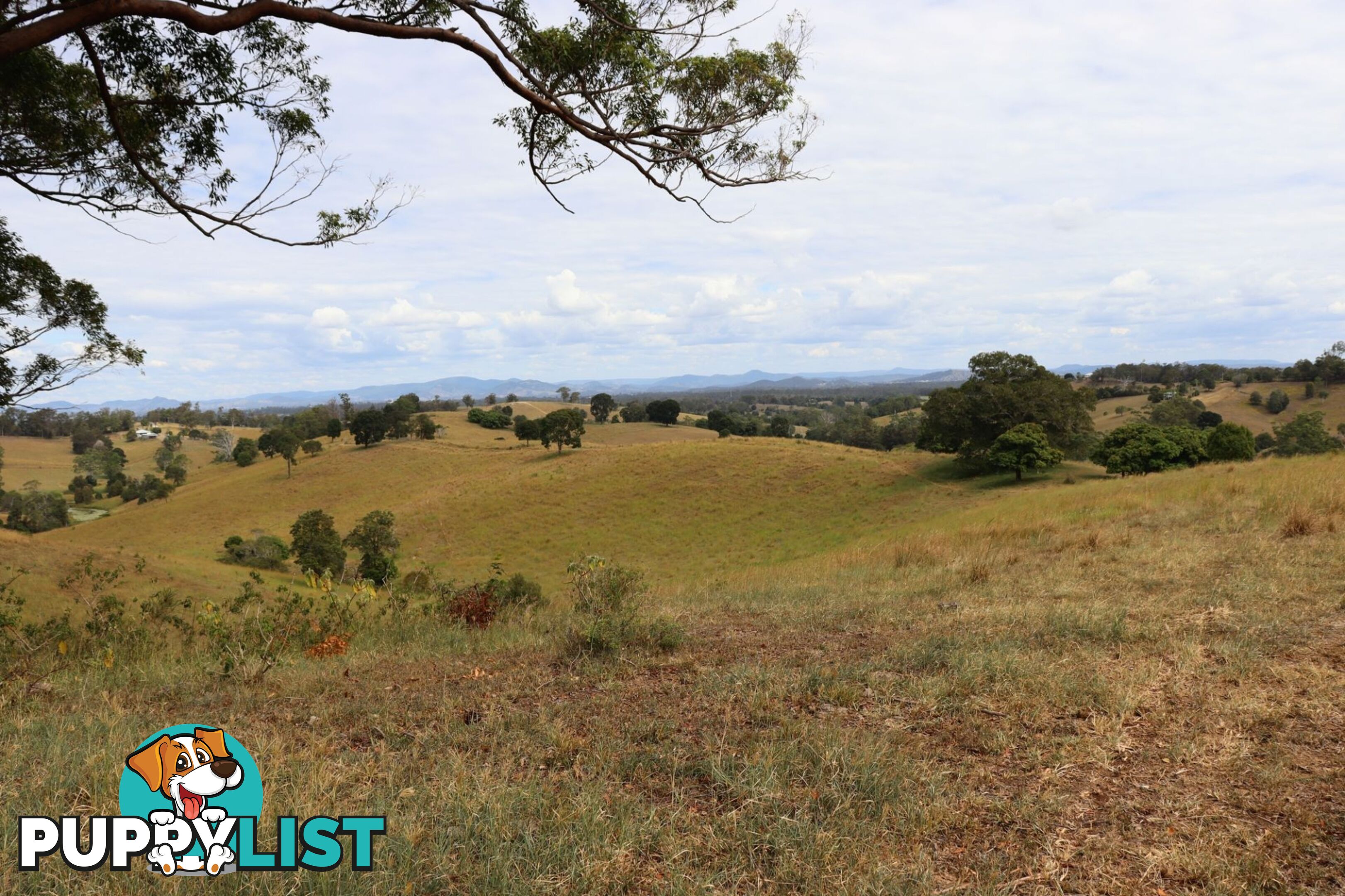 676 Sandy Creek Road Veteran QLD 4570