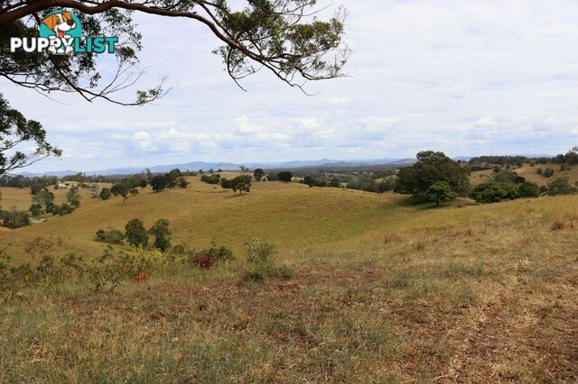 676 Sandy Creek Road Veteran QLD 4570