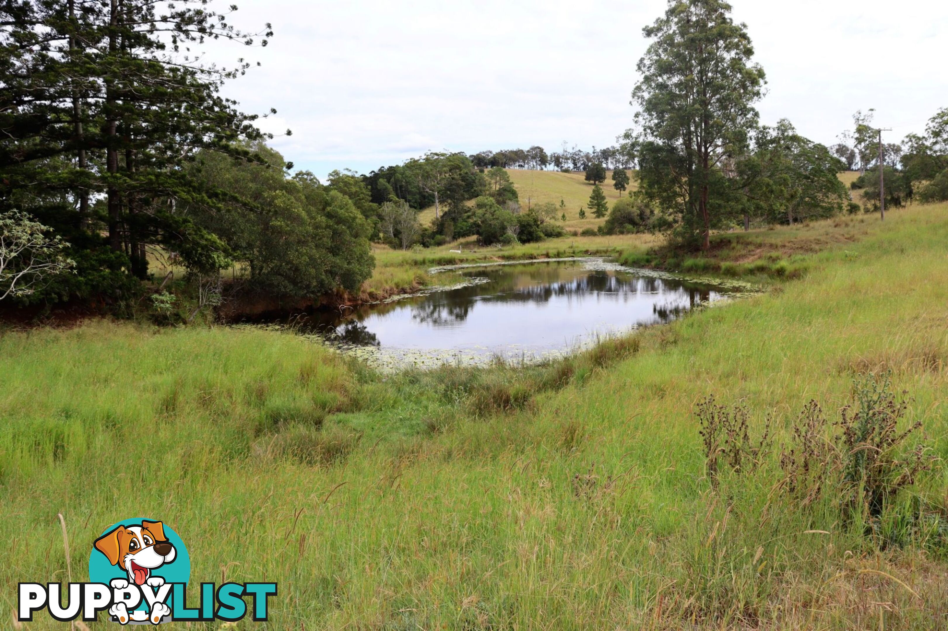 676 Sandy Creek Road Veteran QLD 4570