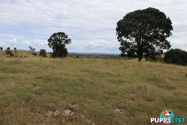 676 Sandy Creek Road Veteran QLD 4570