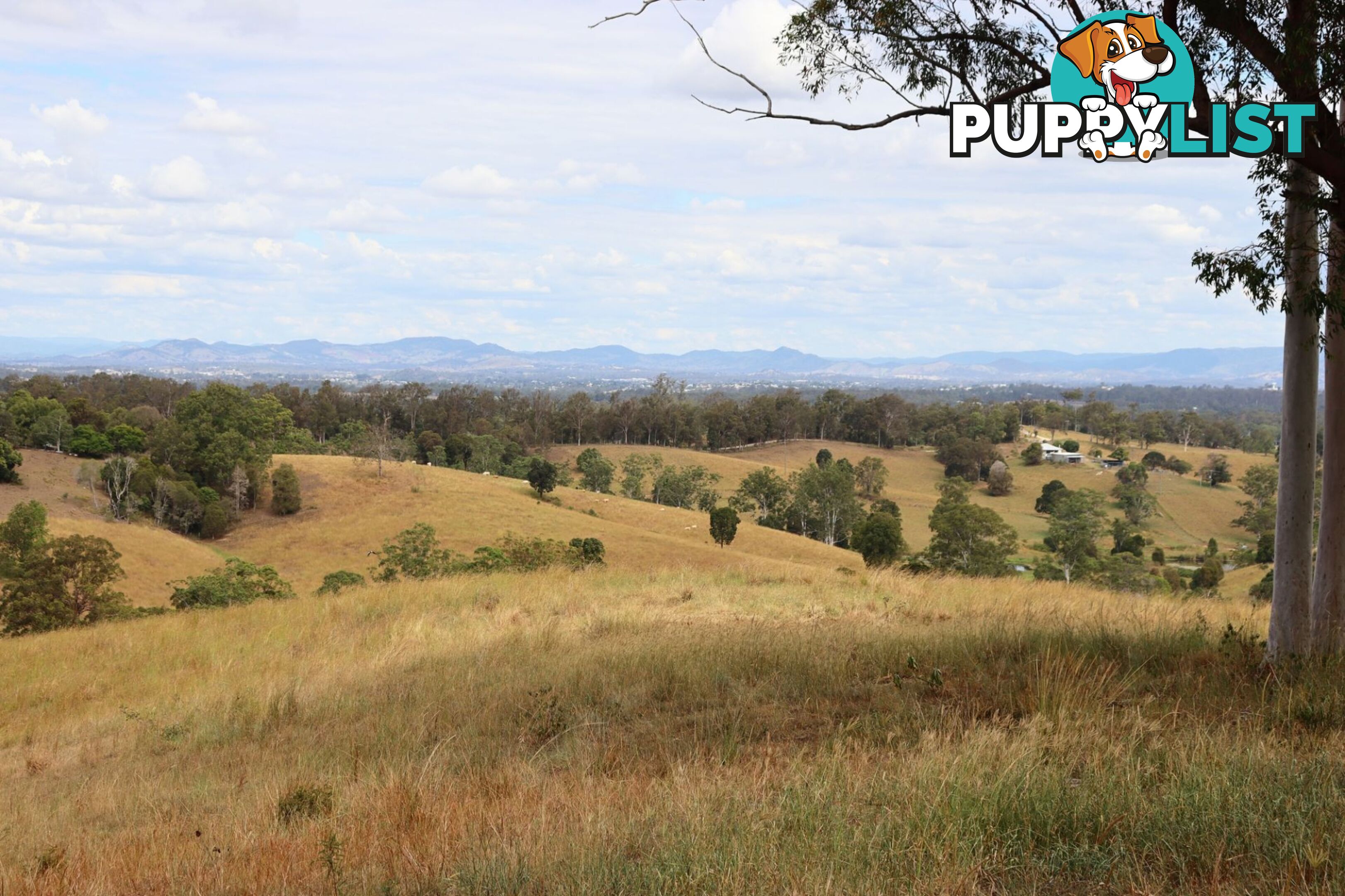 676 Sandy Creek Road Veteran QLD 4570