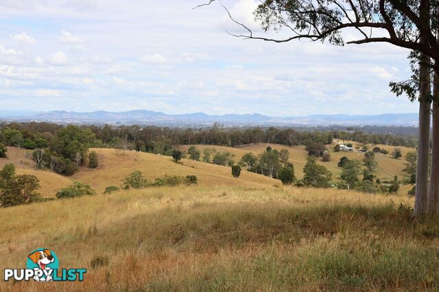 676 Sandy Creek Road Veteran QLD 4570