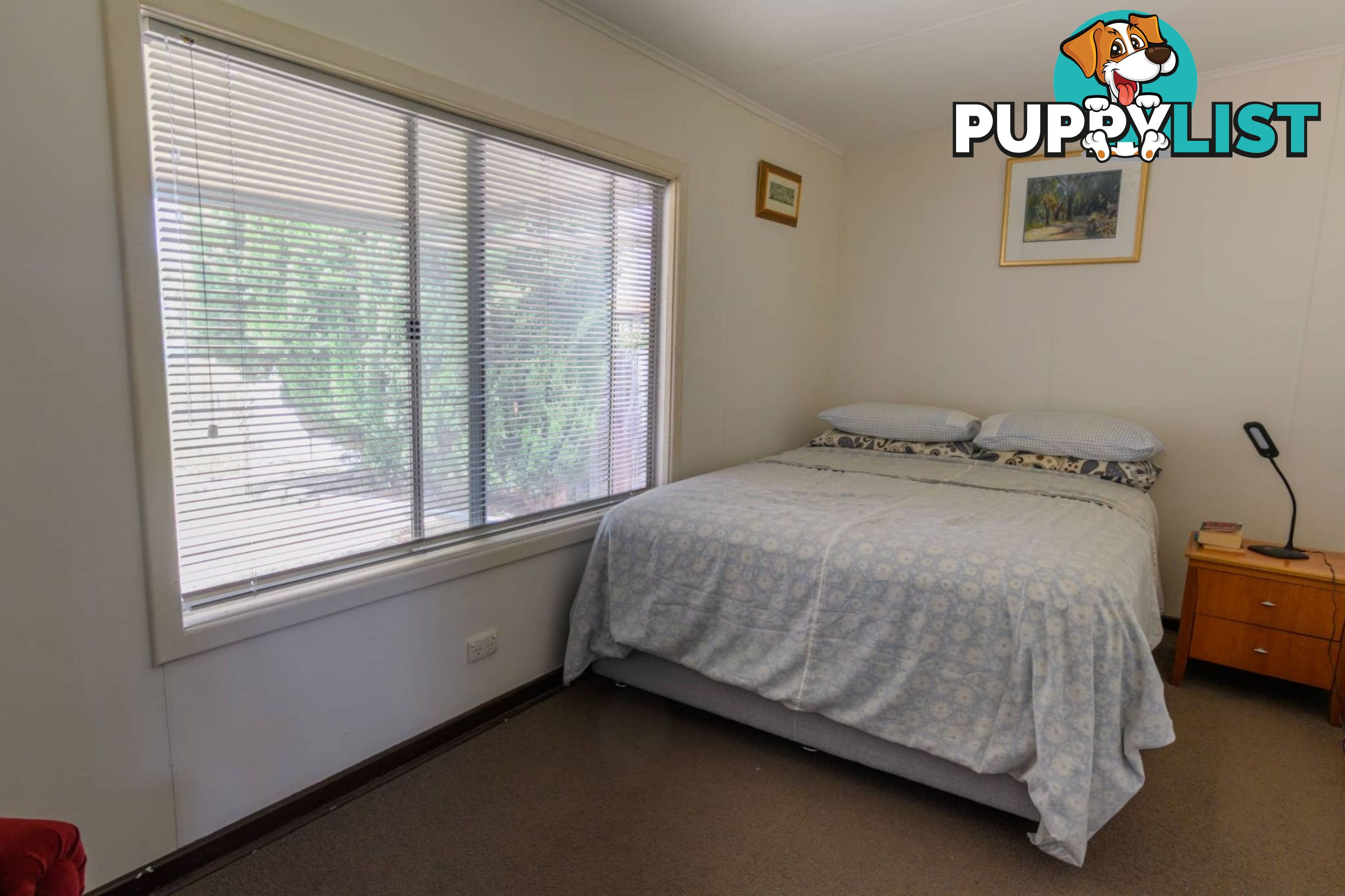 8 Steele Street Walpole WA 6398