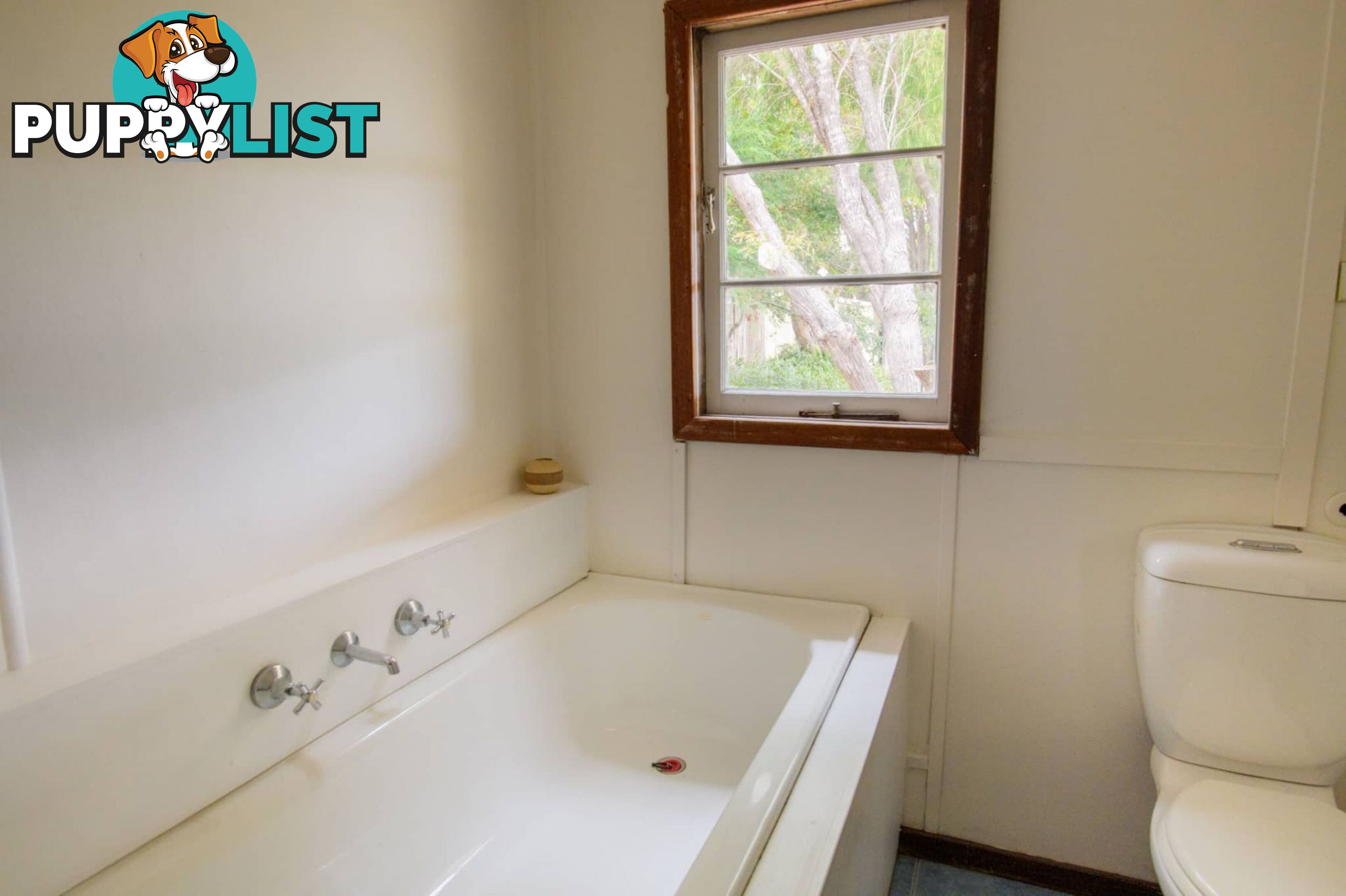 8 Steele Street Walpole WA 6398