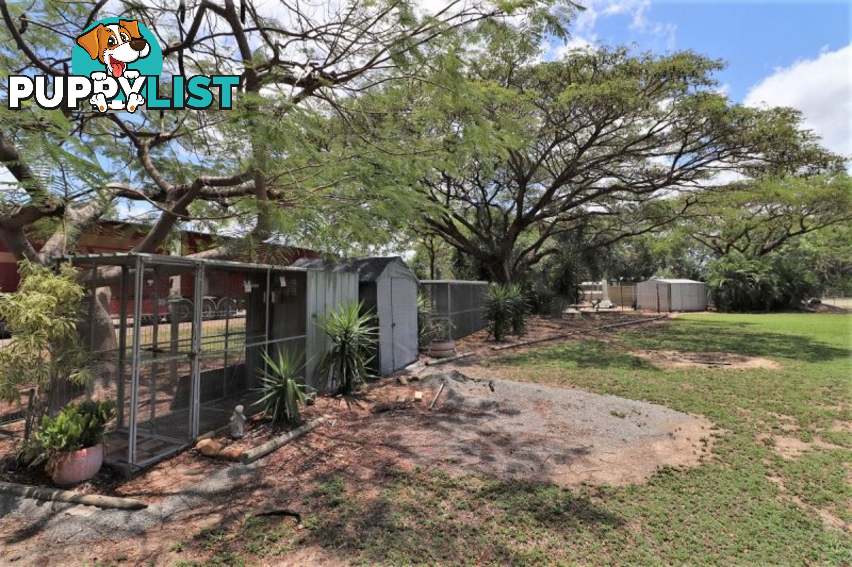 12 Thunderbolt Drive Oak Valley QLD 4811