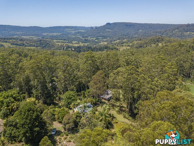 1 4 Wallaby Road Stony Chute NSW 2480