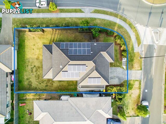 1 Undarra Street Pimpama QLD 4209