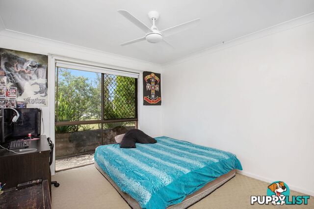 19 McLeod Street Highland Park QLD 4211