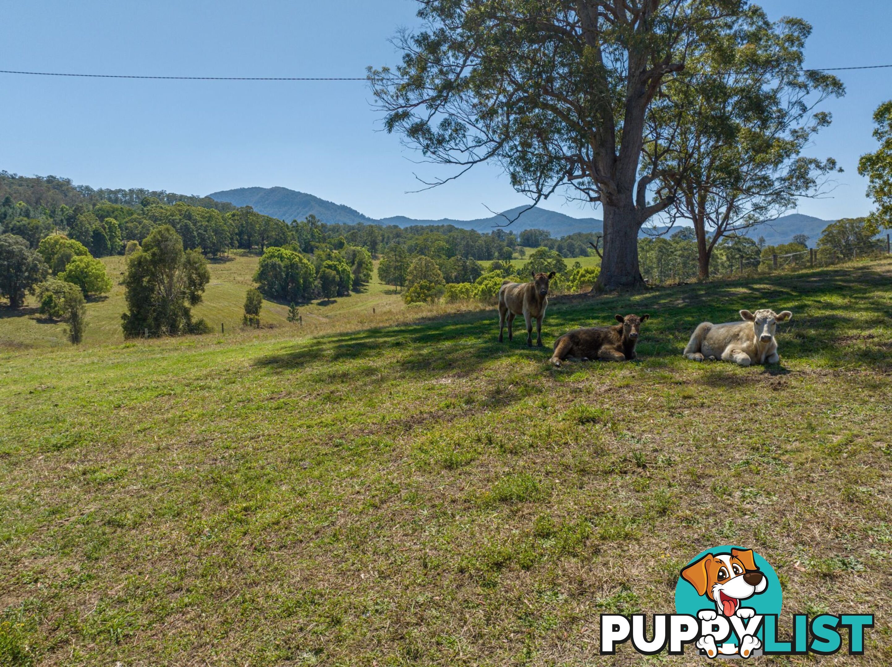 94 Hutchinson Road Nimbin NSW 2480