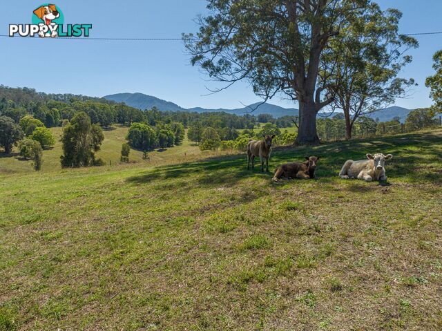 94 Hutchinson Road Nimbin NSW 2480