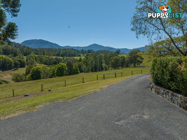 94 Hutchinson Road Nimbin NSW 2480