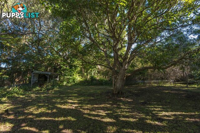 17 Dibbs Street Coraki NSW 2471