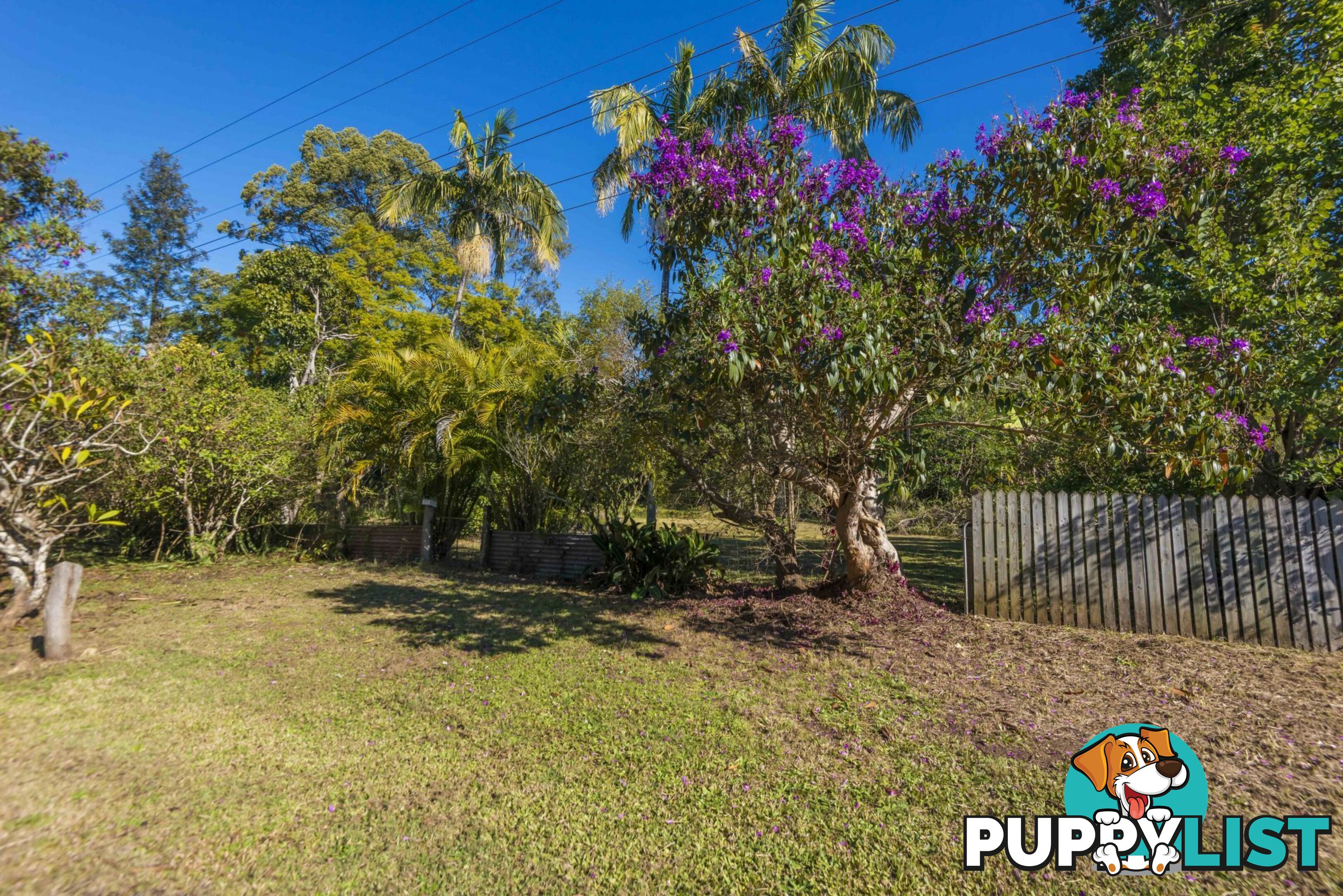 17 Dibbs Street Coraki NSW 2471